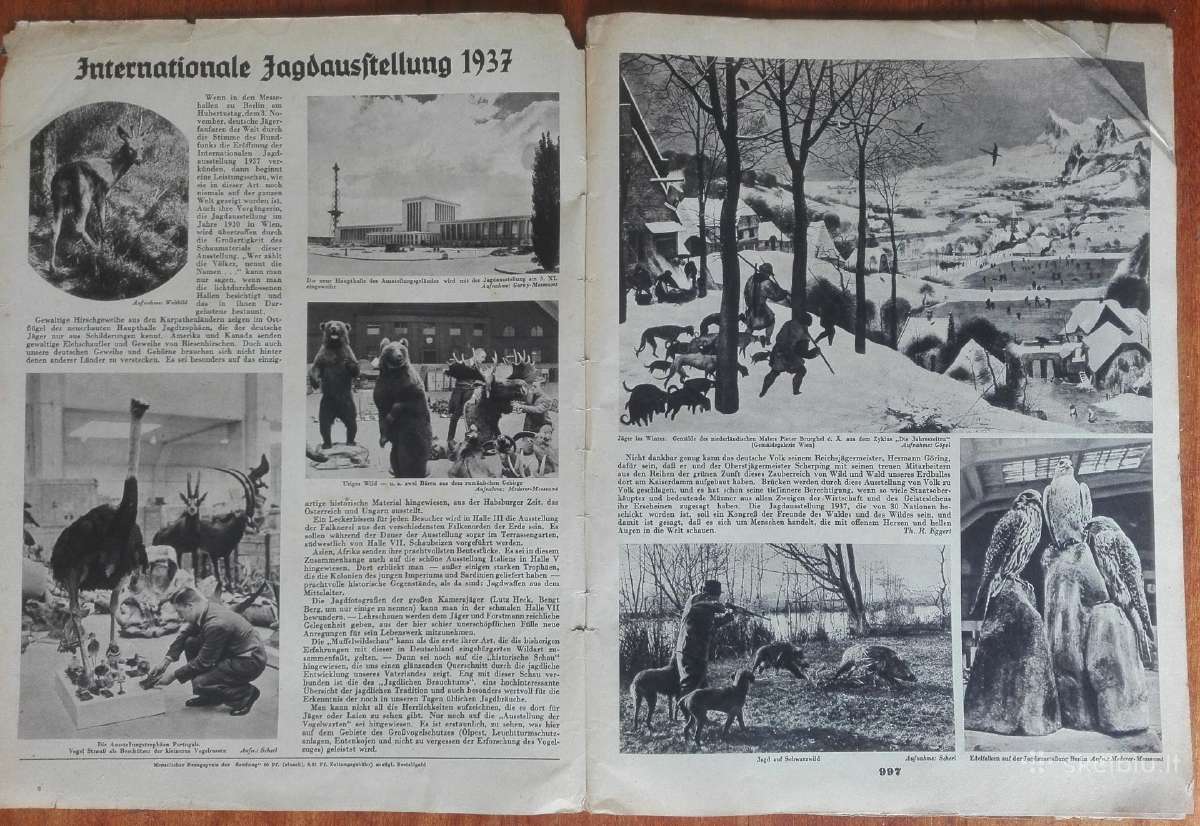 1558. Die Sendung (Transliacija) antikvarinis-kole - nuotraukos Nr. 2