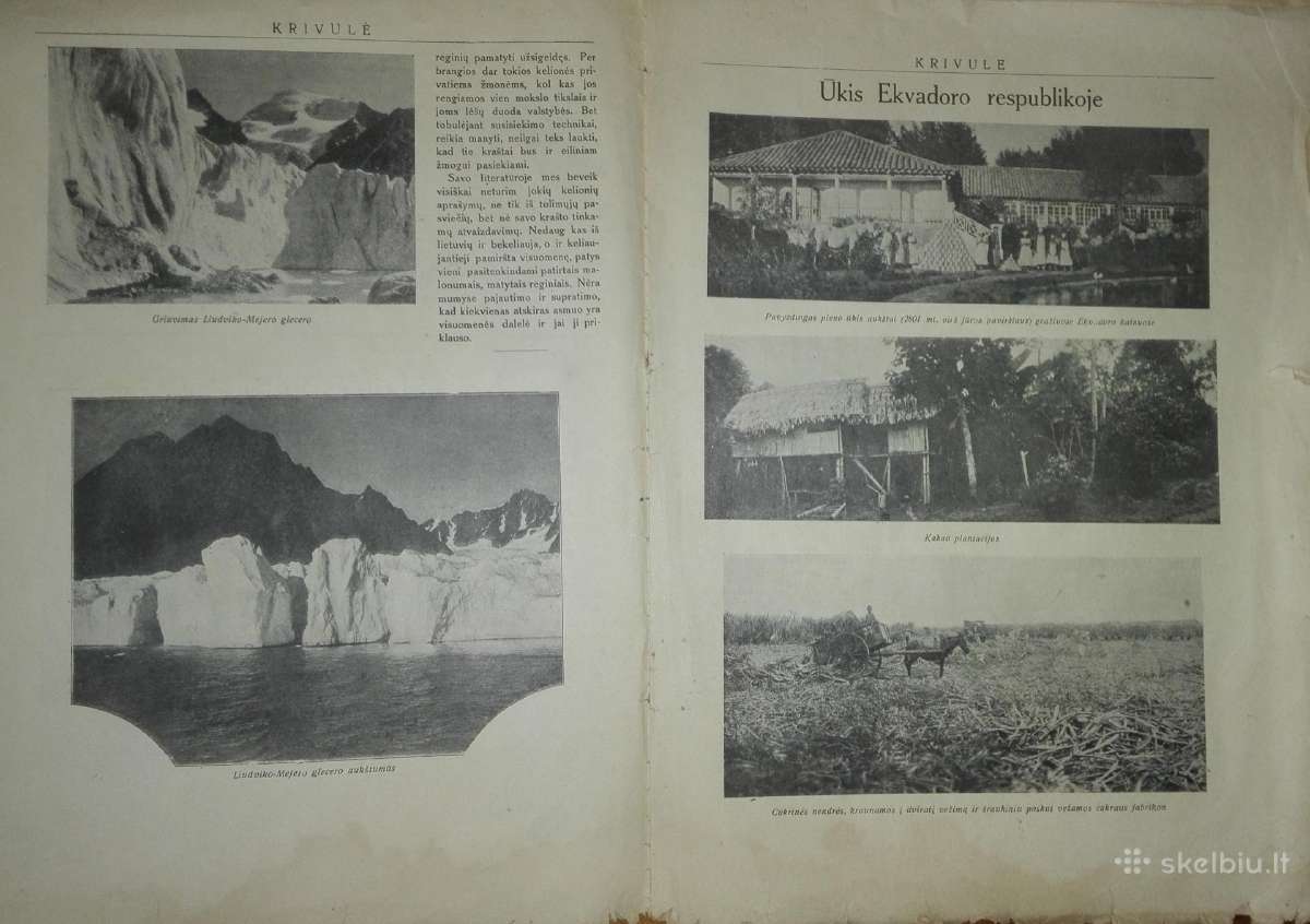 1310. Krivulė labai retas antikvarinis-kolekcinis - nuotraukos Nr. 5