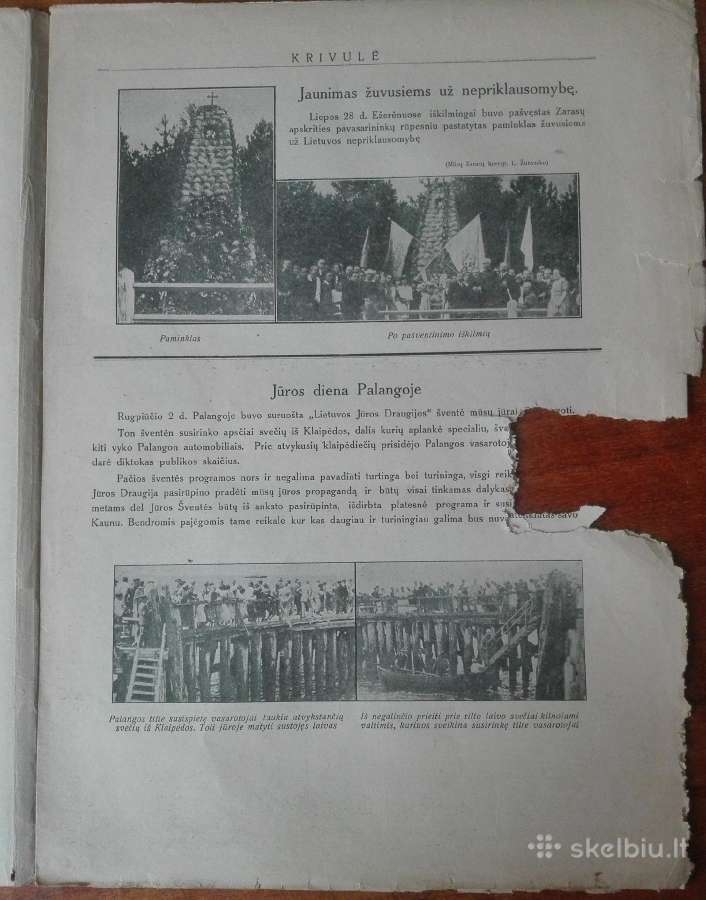 1310. Krivulė labai retas antikvarinis-kolekcinis - nuotraukos Nr. 14