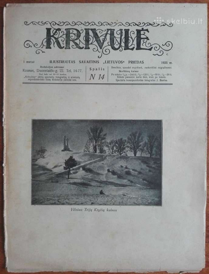 1310. Krivulė labai retas antikvarinis-kolekcinis - nuotraukos Nr. 19
