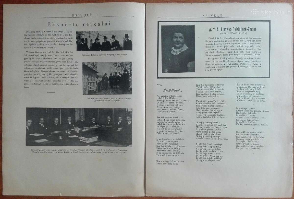1310. Krivulė labai retas antikvarinis-kolekcinis - nuotraukos Nr. 22
