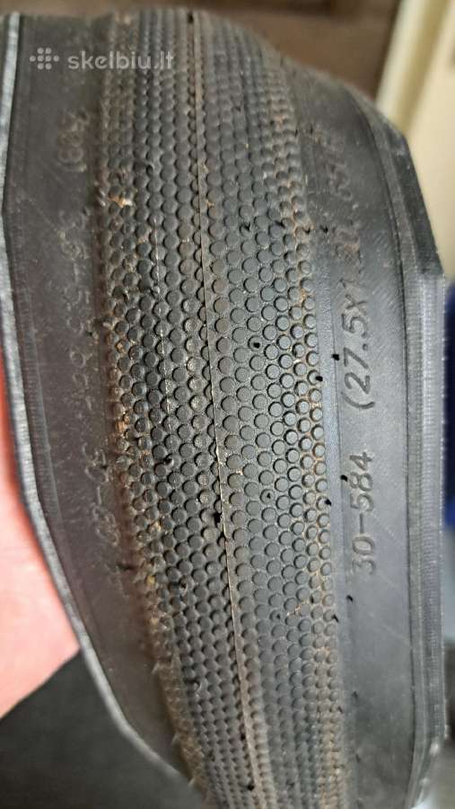 Dvi Dviračio padangos Schwalbe g-one speed