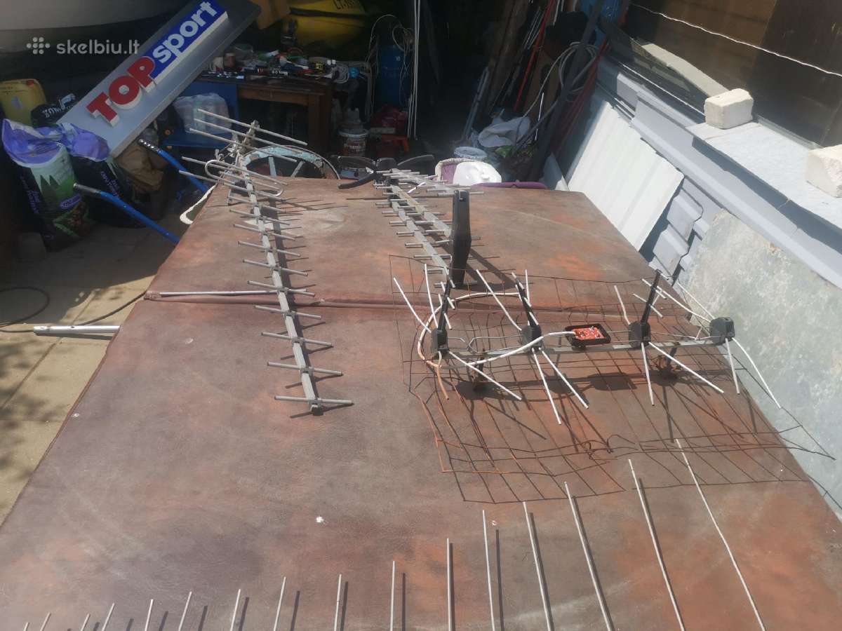 Antenos pigiai - nuotraukos Nr. 2
