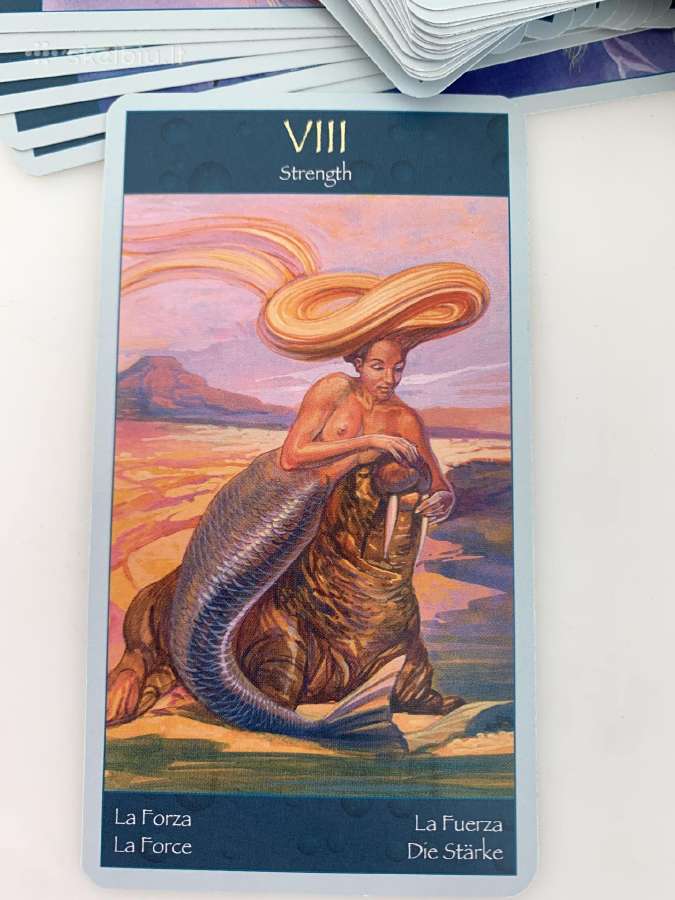 Taro kortos Tarot of Mermaids - nuotraukos Nr. 4