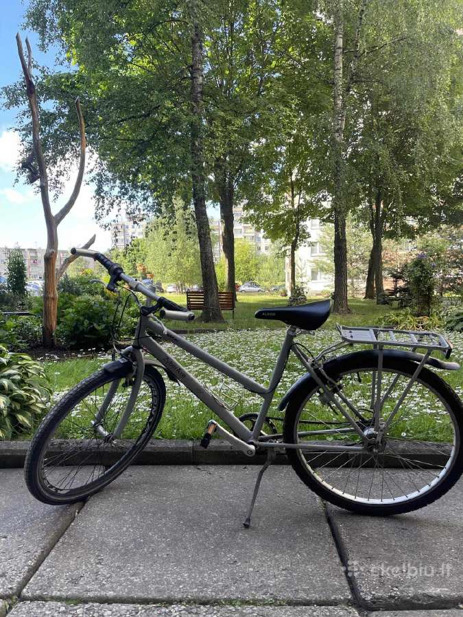 Daniskas dviratis Zyberaxe