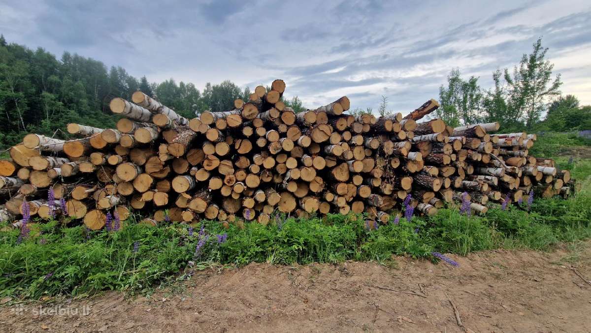 Akcija -malkos miškovežiu -rąstais, išparduodame m - Skelbiu.lt