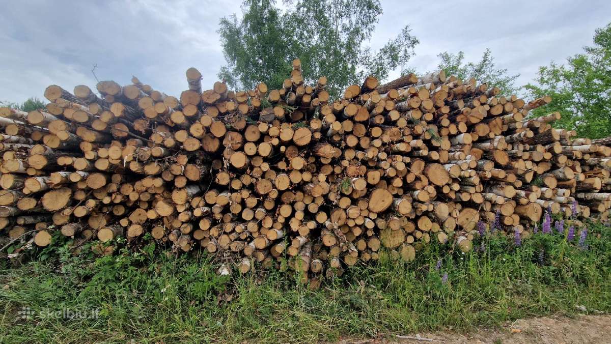 Akcija -malkos miškovežiu -rąstais, Yra sausų! - nuotraukos Nr. 2