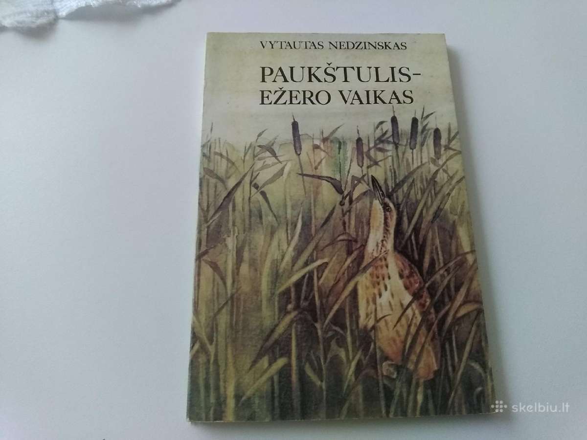 Paukštelis- ežero vaikas.v.nedzinskas