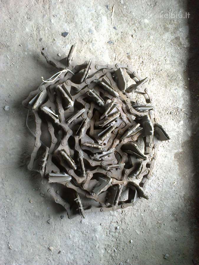 Elevatoriaus transporteris