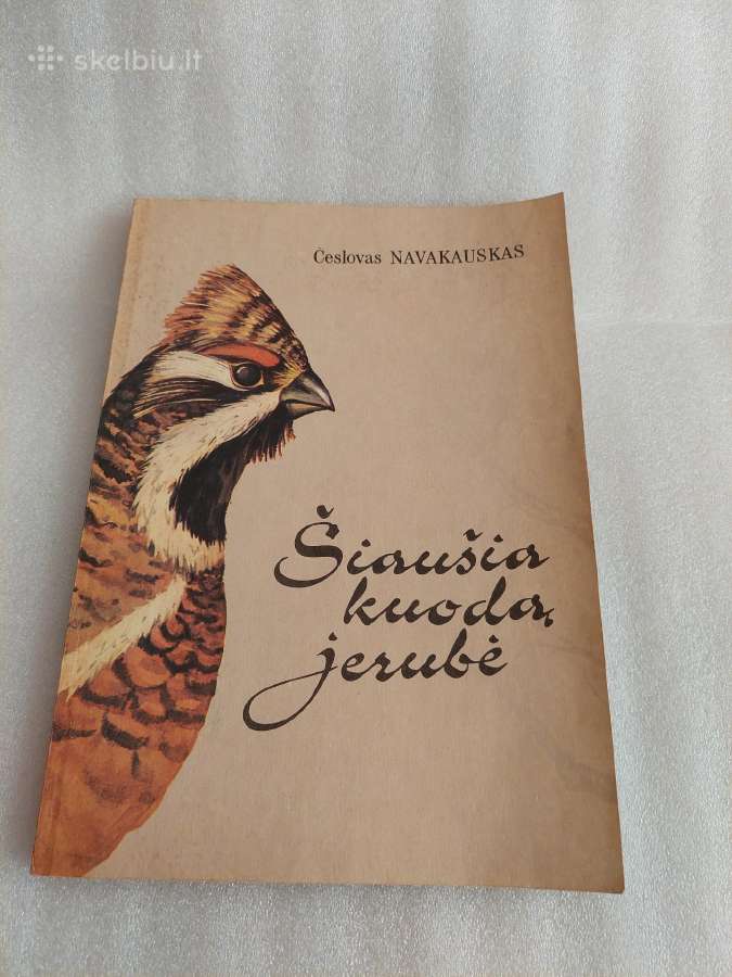 Šiaušia kuodą jerubė