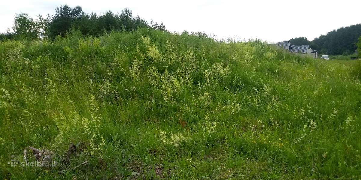 Žoles pjovimas,medžių ir krūmų pjovimas ir išvež. - nuotraukos Nr. 19