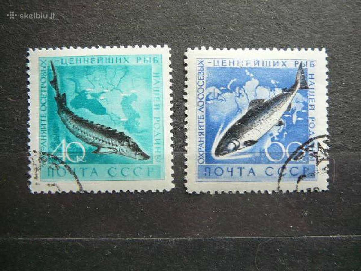 Ssr 1959 Zuvys antsp. a2244/5