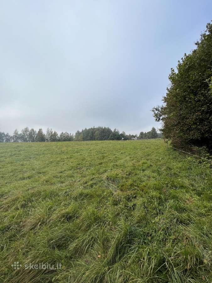 Parduodamas zemes sklypas 2.87 ha Telsiu raj. - nuotraukos Nr. 2