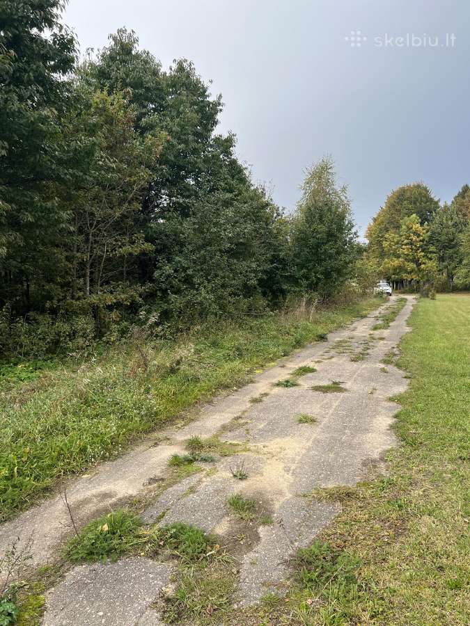 Parduodamas zemes sklypas 2.87 ha Telsiu raj. - nuotraukos Nr. 3