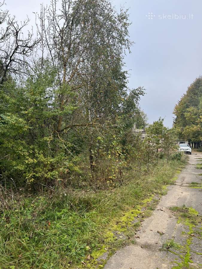 Parduodamas zemes sklypas 2.87 ha Telsiu raj. - nuotraukos Nr. 5