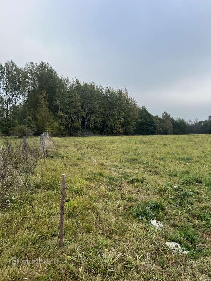 Parduodamas zemes sklypas 2.87 ha Telsiu raj. - nuotraukos Nr. 6