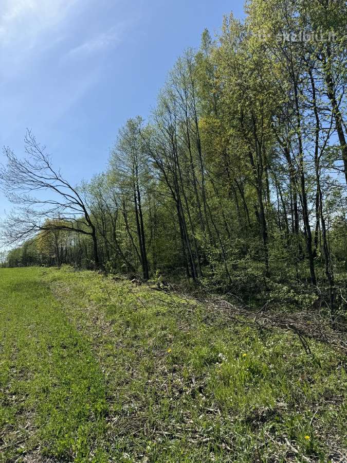 Parduodamas zemes sklypas 2.87 ha Telsiu raj. - nuotraukos Nr. 7