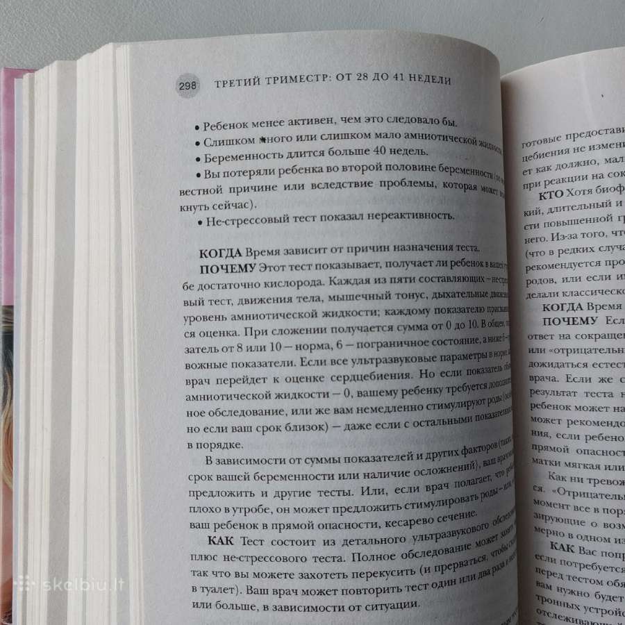 608 psl. knyga mamai "9 месяцев в ожидании малыша - nuotraukos Nr. 5
