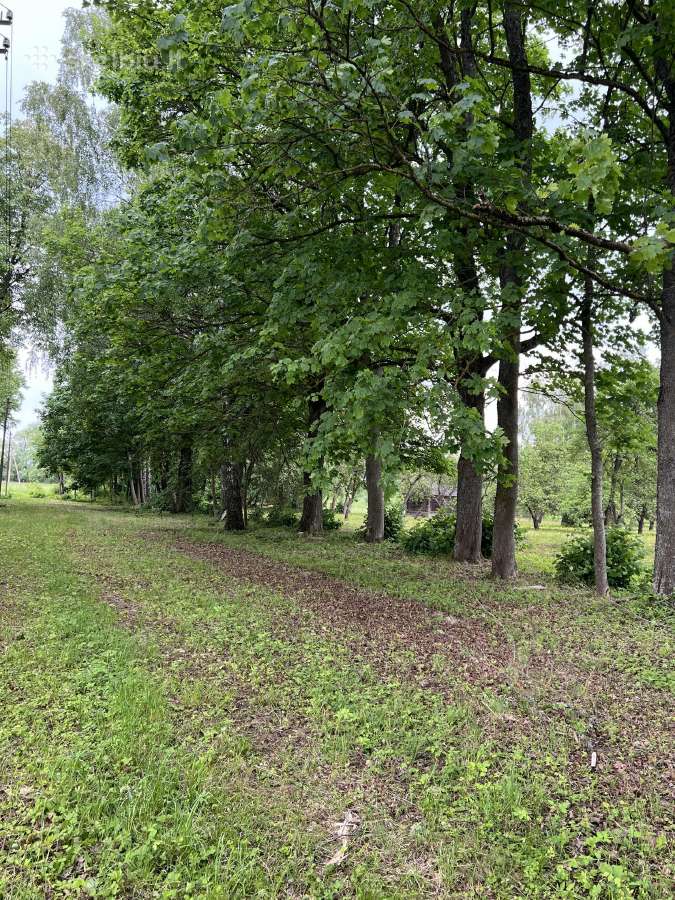 Parduodamas dvaras su 8 ha sklypu. - nuotraukos Nr. 5