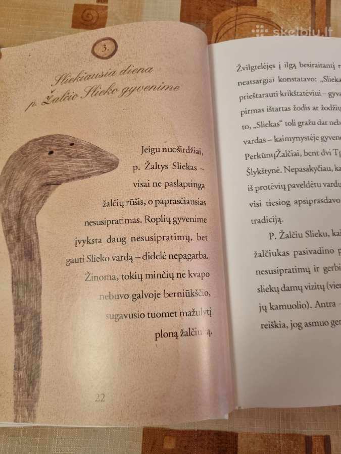 Pasaka apie Slieką ir jo draugą Pašiauštą - nuotraukos Nr. 5