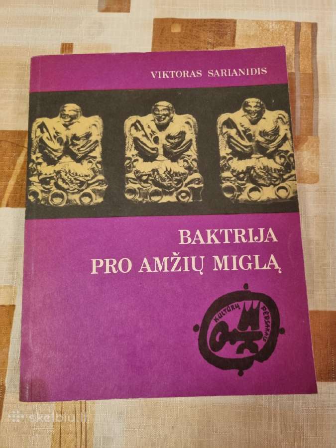Baktrija pro amžių miglą