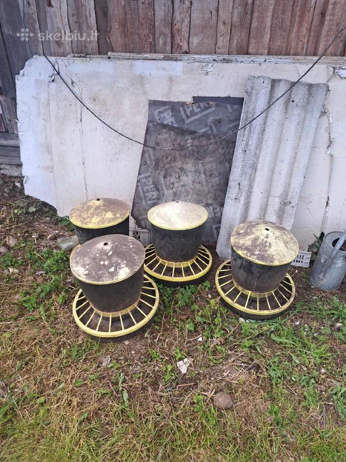 Vištoms