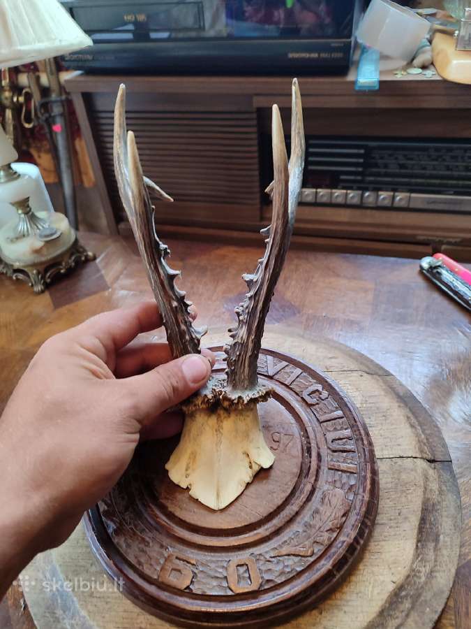 Ragai