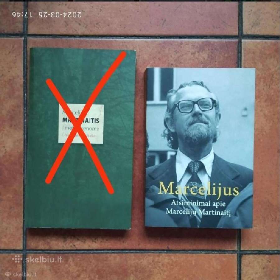 Knygos apie Marcelijų Martinaitį