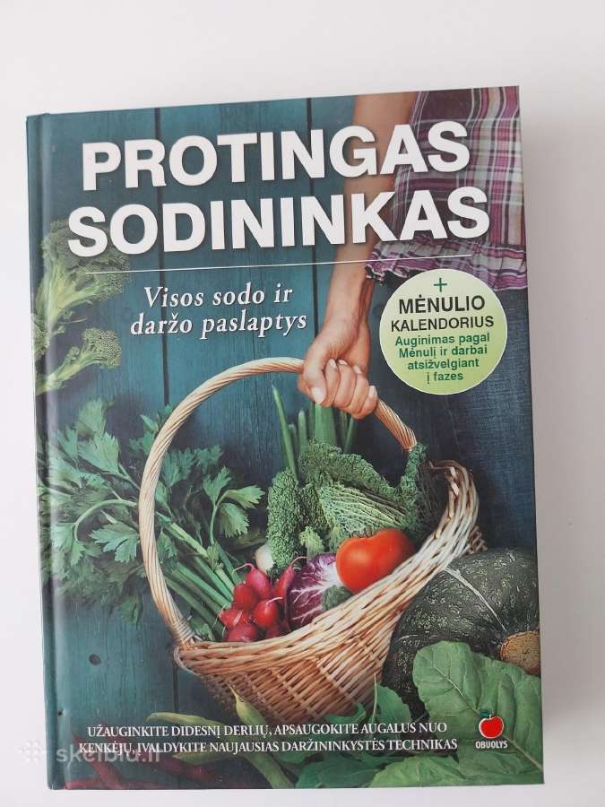 Knyga