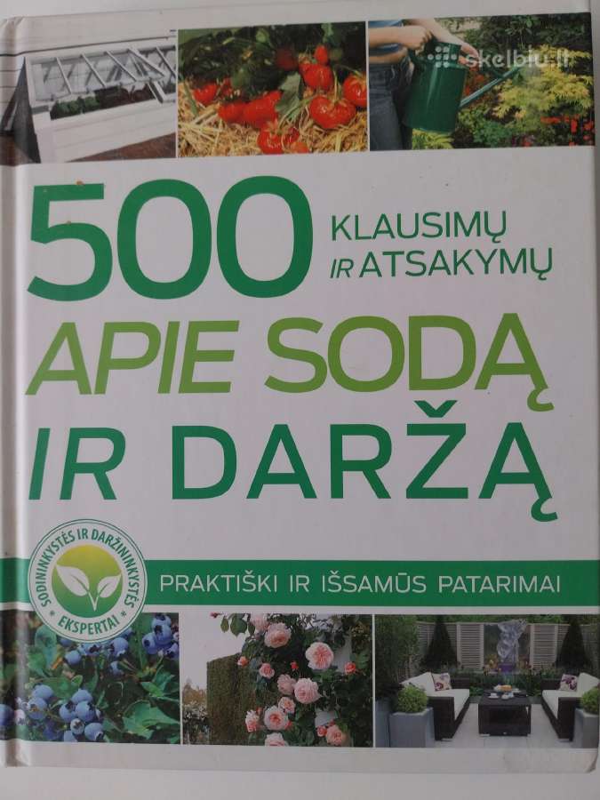 Knyga