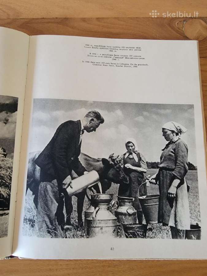 Chanono Levino fotografijų rinktinė - nuotraukos Nr. 6