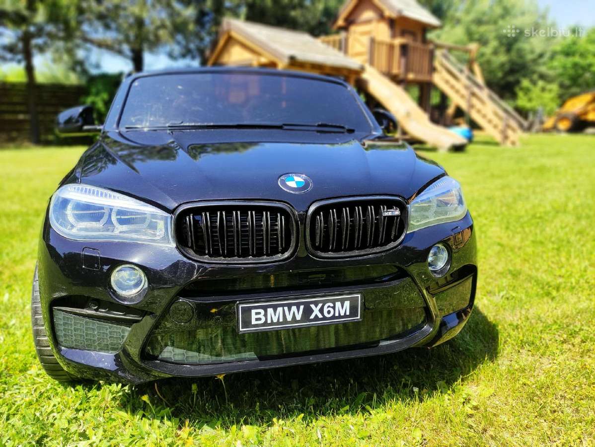 Visureigis Bmw X6
