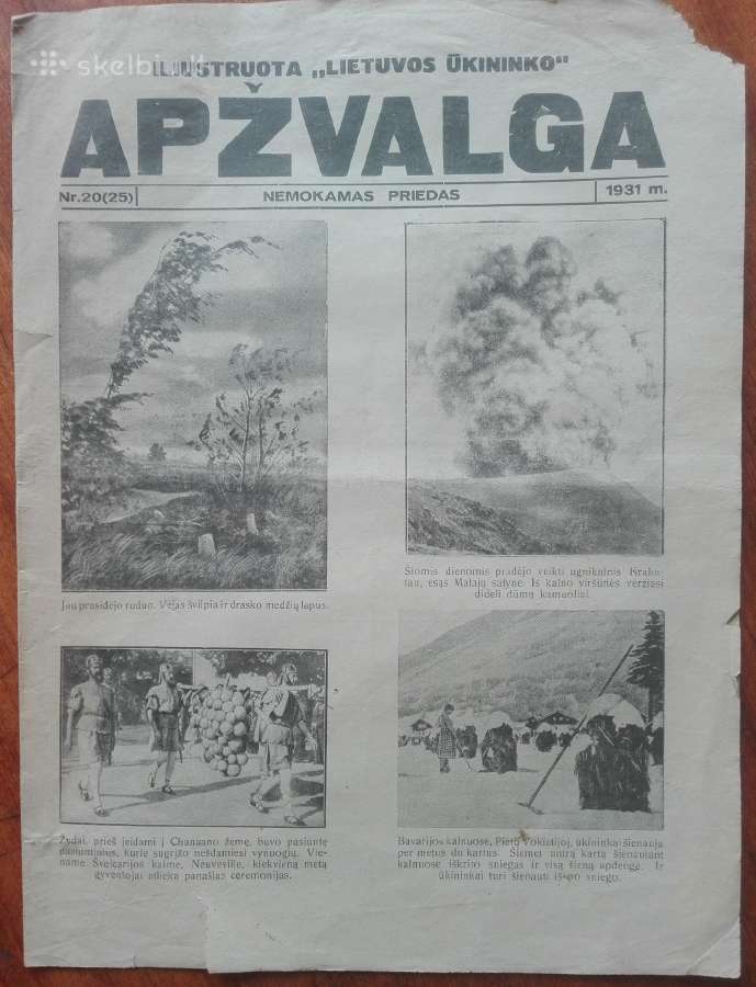1567. Iliustruota "Lietuvos Ūkininko" Apžvalga - nuotraukos Nr. 9