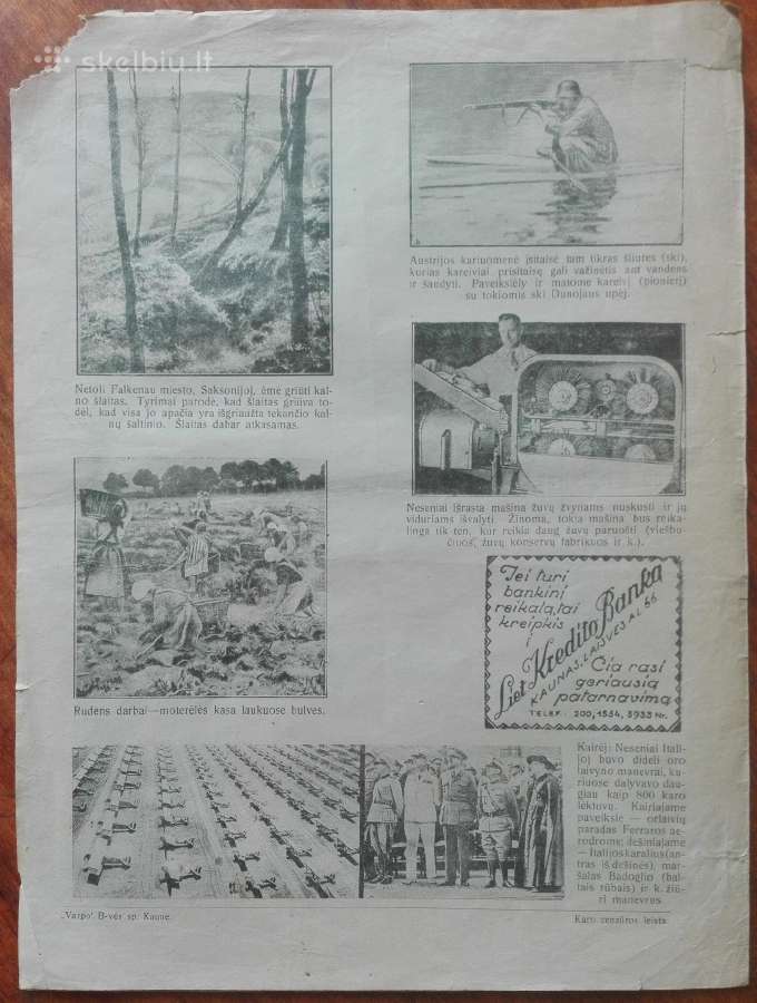 1567. Iliustruota "Lietuvos Ūkininko" Apžvalga - nuotraukos Nr. 11