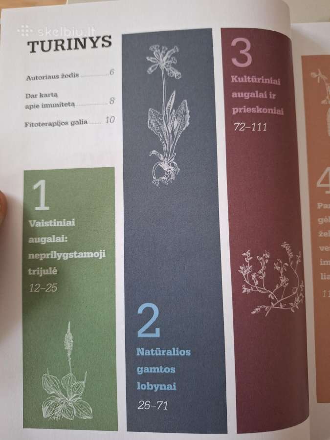 Imunitetą stiprinantys augalai - nuotraukos Nr. 3