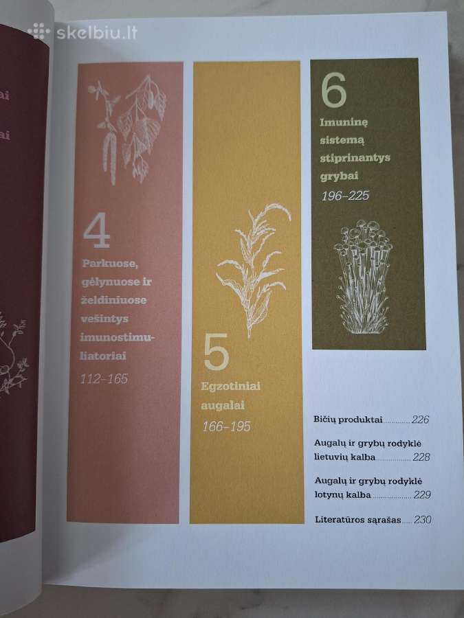 Imunitetą stiprinantys augalai - nuotraukos Nr. 4