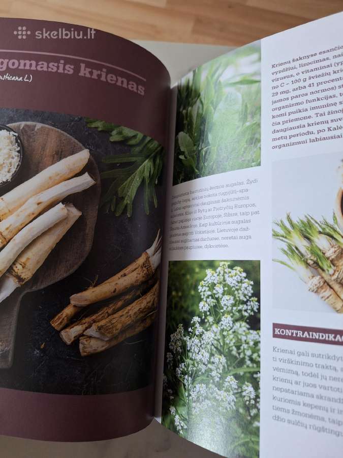 Imunitetą stiprinantys augalai - nuotraukos Nr. 5