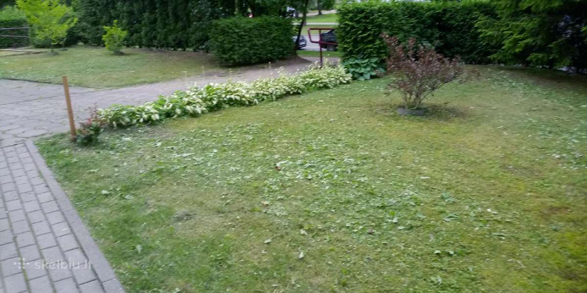 Žoles pjovimas,medžių ir krūmų pjovimas ir išvež. - nuotraukos Nr. 8