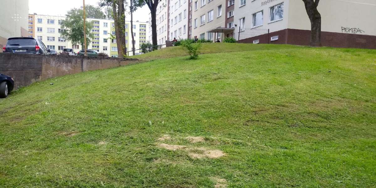 Žoles pjovimas,medžių ir krūmų pjovimas ir išvež. - nuotraukos Nr. 9