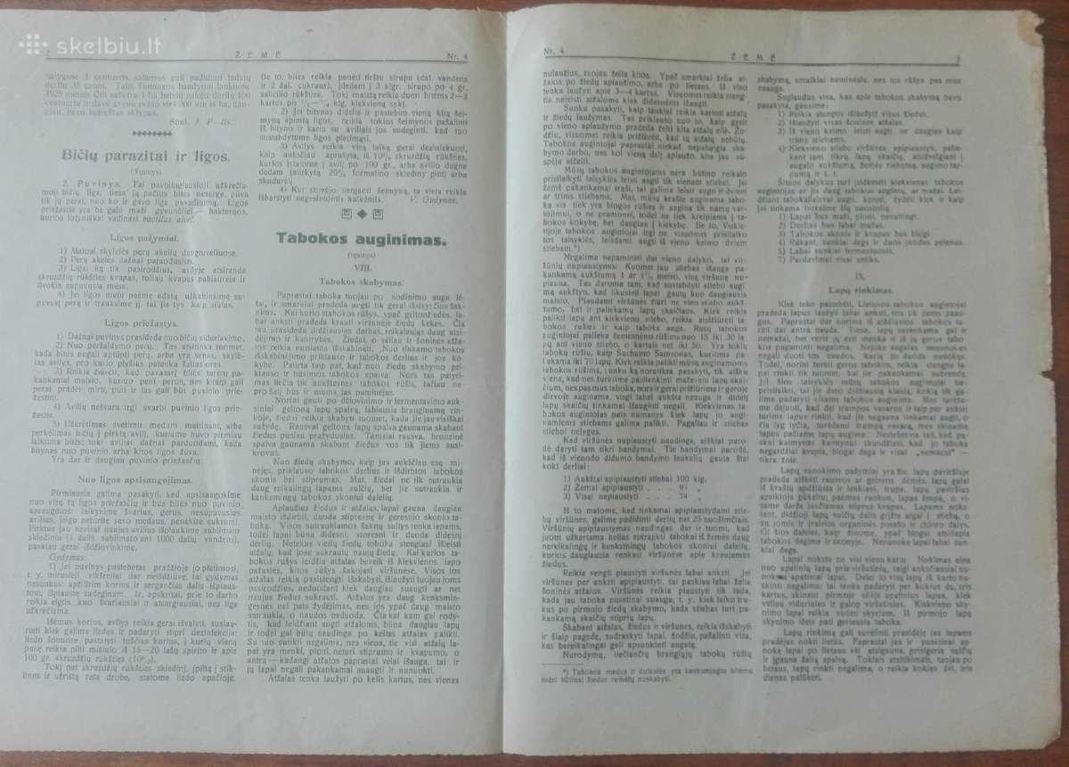 1568. Žemė reti antikvariniai-kolekciniai - nuotraukos Nr. 5