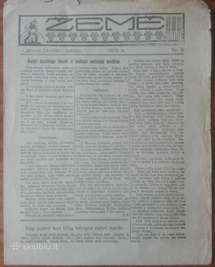1568. Žemė reti antikvariniai-kolekciniai - nuotraukos Nr. 9