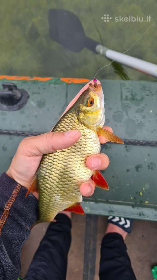 Avižadrėbio avižėlės nuo 0.50€ (volframinės) - nuotraukos Nr. 33