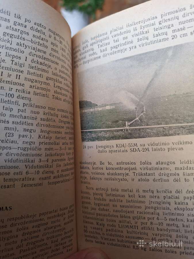 Žemės ūkio kultūrų lietinimas - nuotraukos Nr. 5