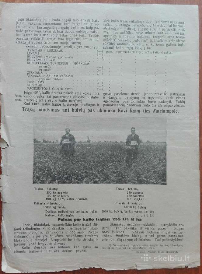 1573. Žemės Ūkio Rūmų Leidiniai reti antikvariniai - nuotraukos Nr. 4
