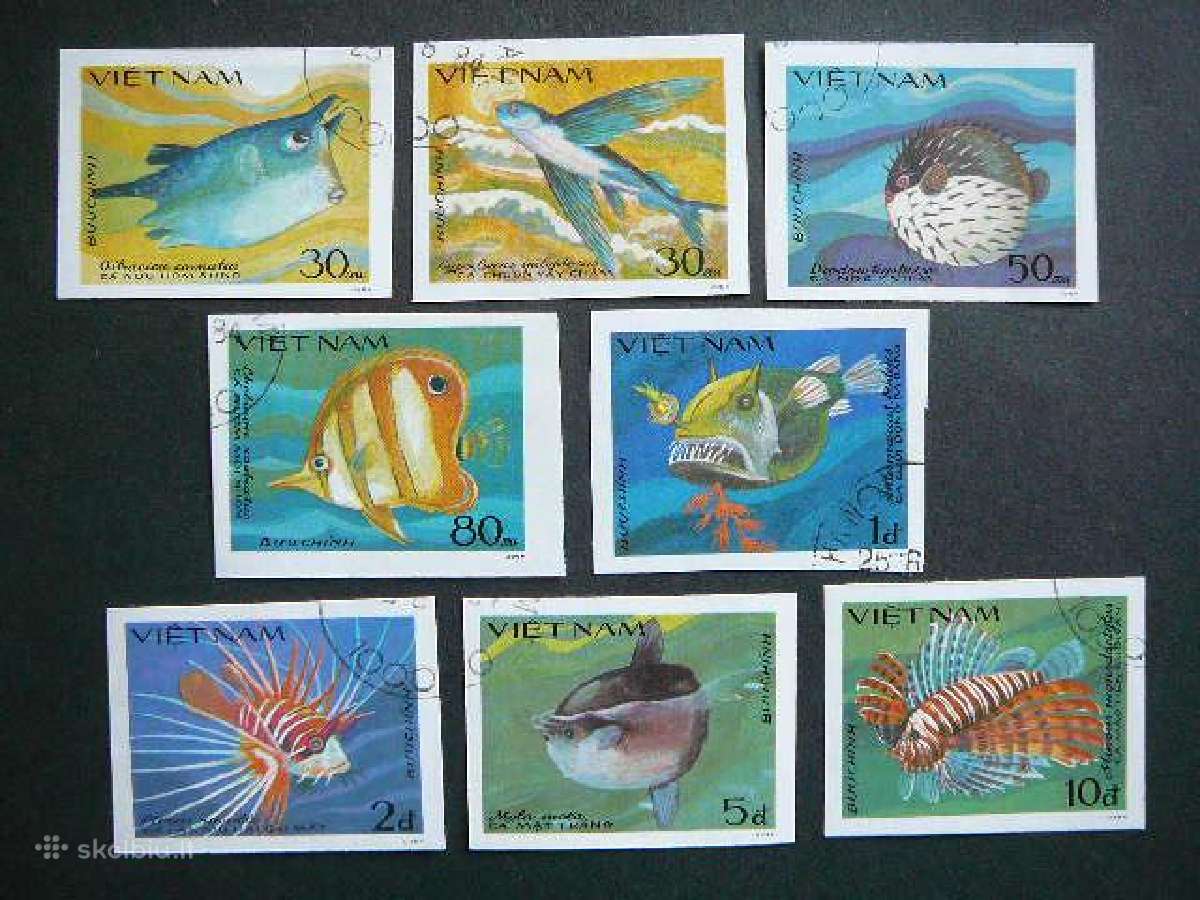 Zuvys Vietnamas 1984 antsp. vt221b
