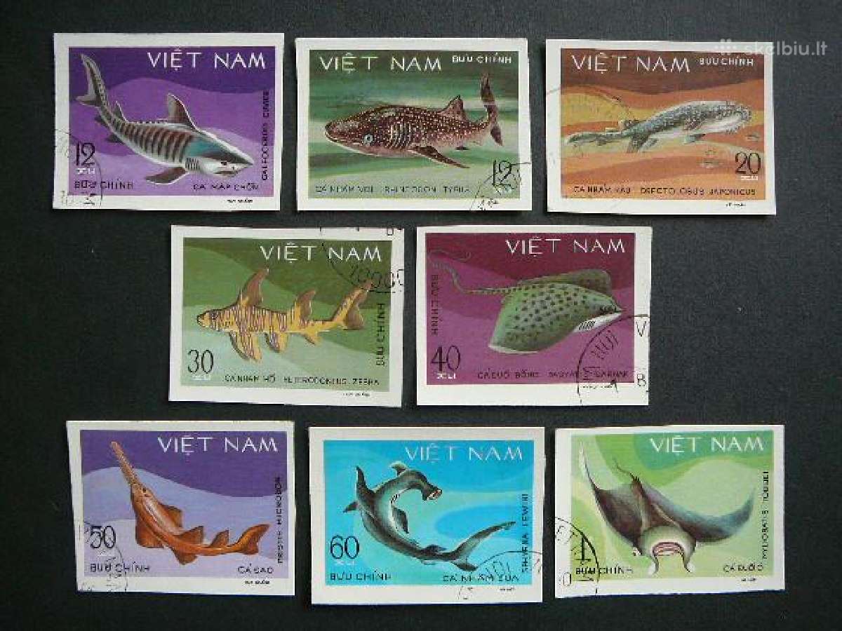 Zuvys Vietnamas 1980 antsp. vt222b
