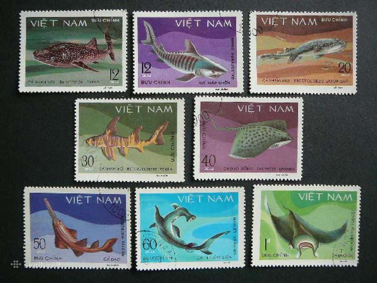 Zuvys Vietnamas 1980 antsp. vt223