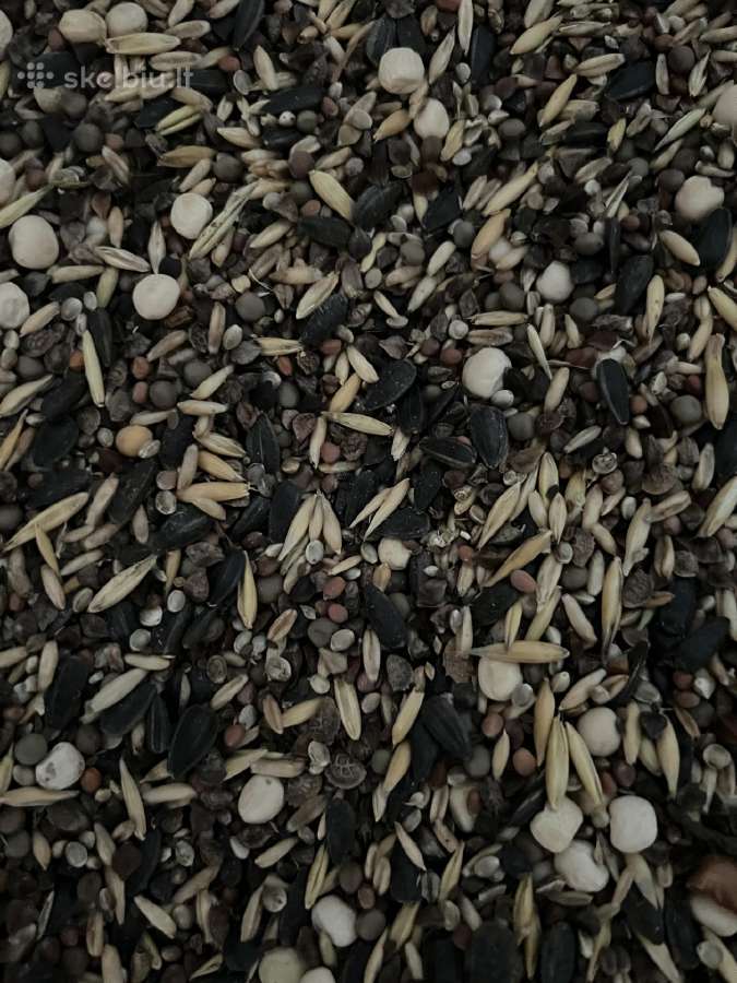 Parduodamas seklu misinys Zalinimui - nuotraukos Nr. 2