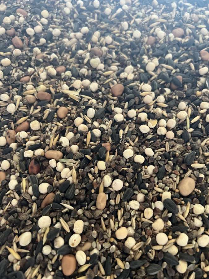 Parduodamas seklu misinys Zalinimui - nuotraukos Nr. 3