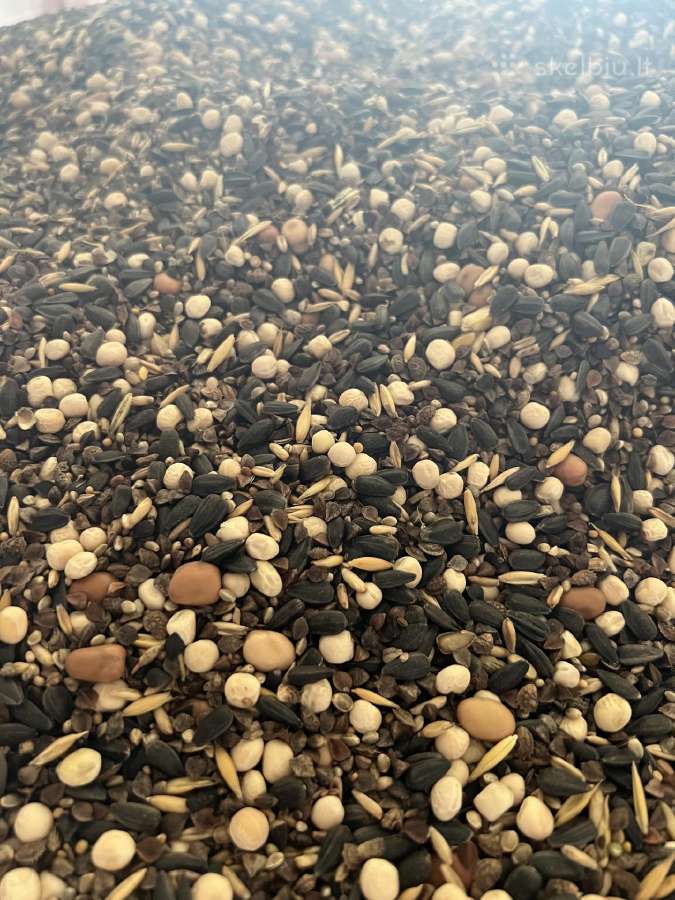 Parduodamas seklu misinys Zalinimui - nuotraukos Nr. 4
